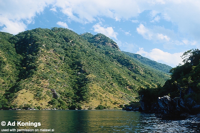 Lion's Cove 02